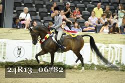24R13_06782 thumbnail