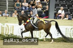 24R13_06783 thumbnail
