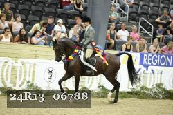 24R13_06788 thumbnail