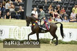 24R13_06790 thumbnail