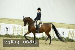 24R13_06815 thumbnail