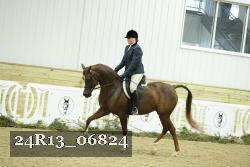 24R13_06824 thumbnail