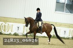 24R13_06826 thumbnail