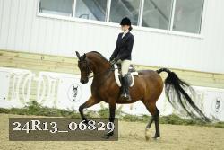 24R13_06829 thumbnail
