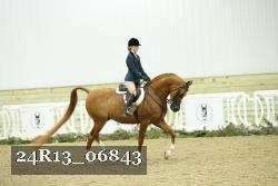 24R13_06843 thumbnail