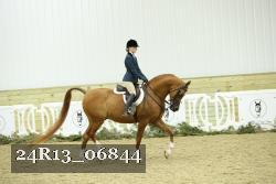 24R13_06844 thumbnail