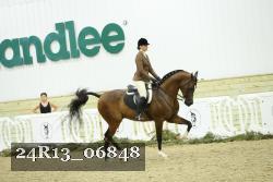 24R13_06848 thumbnail