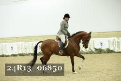 24R13_06850 thumbnail