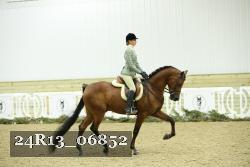 24R13_06852 thumbnail