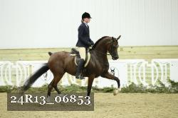 24R13_06853 thumbnail