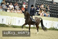 24R13_06873 thumbnail