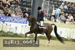24R13_06874 thumbnail