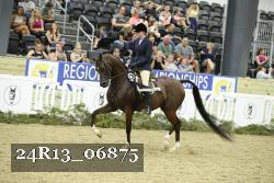 24R13_06875 thumbnail