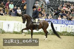 24R13_06876 thumbnail