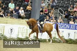 24R13_06877 thumbnail