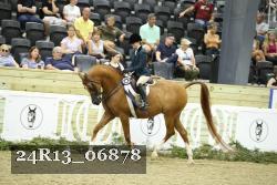 24R13_06878 thumbnail