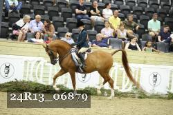 24R13_06879 thumbnail