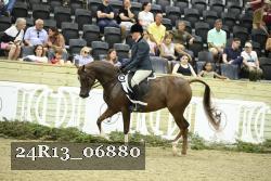 24R13_06880 thumbnail