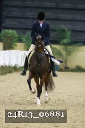 24R13_06881 thumbnail