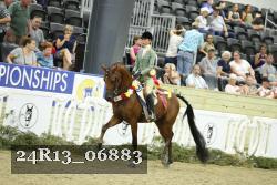 24R13_06883 thumbnail