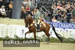 24R13_06886 thumbnail