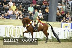 24R13_06887 thumbnail