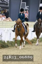24R13_06889 thumbnail