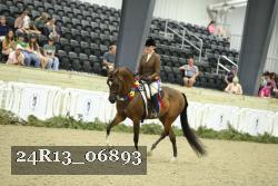 24R13_06893 thumbnail