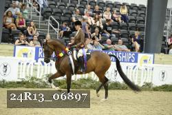 24R13_06897 thumbnail