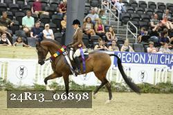24R13_06898 thumbnail