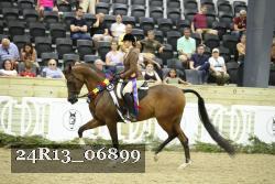24R13_06899 thumbnail