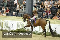 24R13_06900 thumbnail