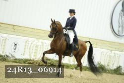 24R13_06914 thumbnail