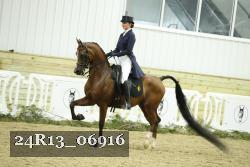 24R13_06916 thumbnail