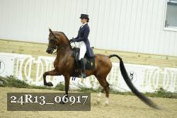 24R13_06917 thumbnail