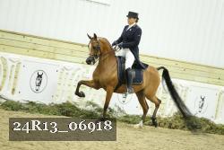 24R13_06918 thumbnail