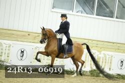 24R13_06919 thumbnail