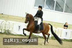 24R13_06928 thumbnail