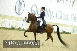 24R13_06933 thumbnail