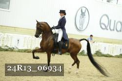 24R13_06934 thumbnail