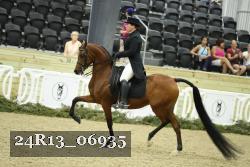 24R13_06935 thumbnail