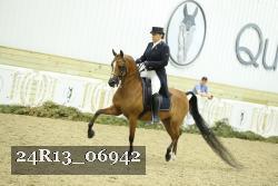 24R13_06942 thumbnail