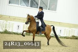 24R13_06943 thumbnail