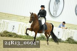 24R13_06947 thumbnail