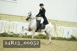 24R13_06952 thumbnail