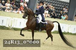 24R13_07000 thumbnail
