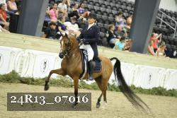 24R13_07016 thumbnail