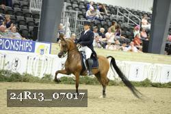 24R13_07017 thumbnail