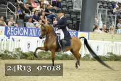 24R13_07018 thumbnail