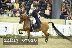 24R13_07020 thumbnail